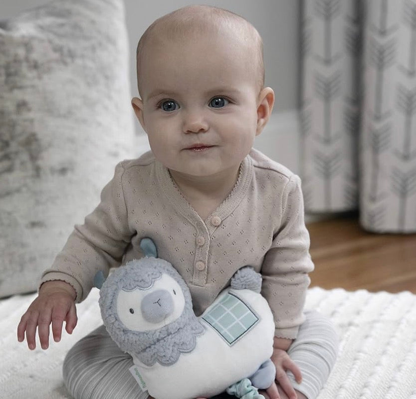 Visit the Ingenuity Store
5 stars
Ingenuity Premium Soft Plush Musical Travel Pull Toy - Cria The Llama, Ages Newborn and up