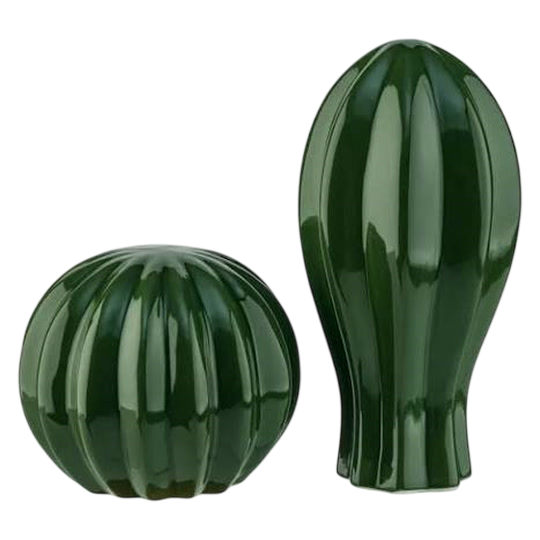 Livarno Home Decorative Cactus Set