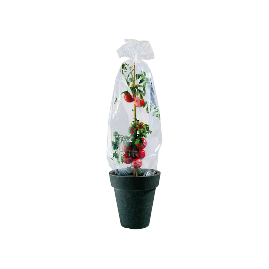 Parkside Shrub Protection Film Tube 10 m
