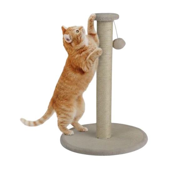 Zoofari Cat Scratching Post