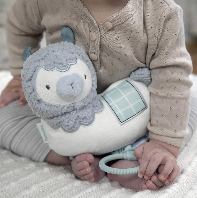 Visit the Ingenuity Store
5 stars
Ingenuity Premium Soft Plush Musical Travel Pull Toy - Cria The Llama, Ages Newborn and up