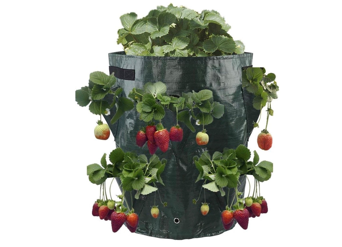 Parkside 2 Pack Strawberry Grow Bags planting Volume 40L Size 35x42cm
