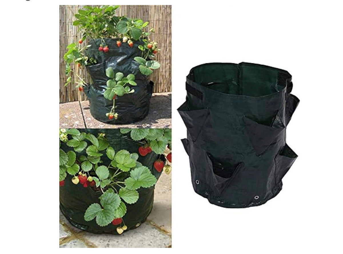 Parkside 2 Pack Strawberry Grow Bags planting Volume 40L Size 35x42cm