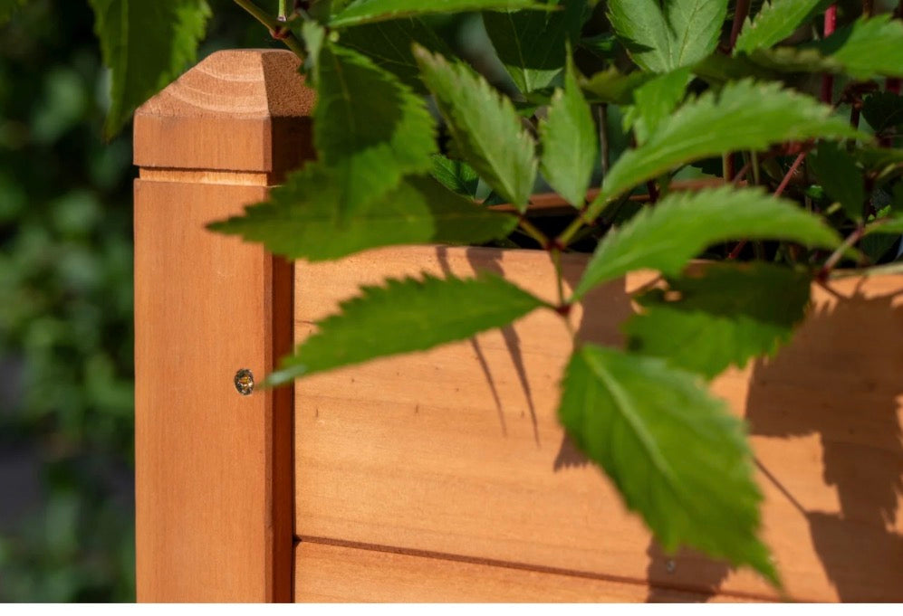 Raised bed, L 75 x W 37 x H 79 cm