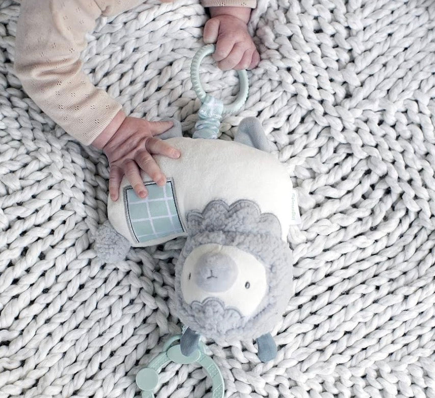 Visit the Ingenuity Store
5 stars
Ingenuity Premium Soft Plush Musical Travel Pull Toy - Cria The Llama, Ages Newborn and up