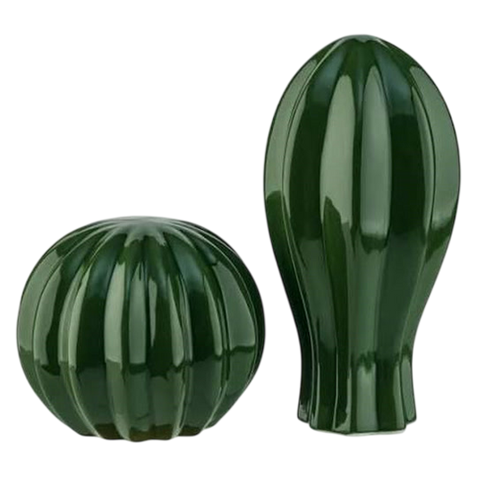 Livarno Home Decorative Cactus Set