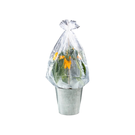 Parkside Shrub Protection Film Hoods — 5 Pack