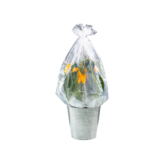Parkside Shrub Protection Film Hoods — 5 Pack