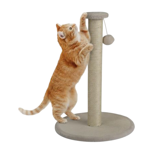 Zoofari Cat Scratching Post